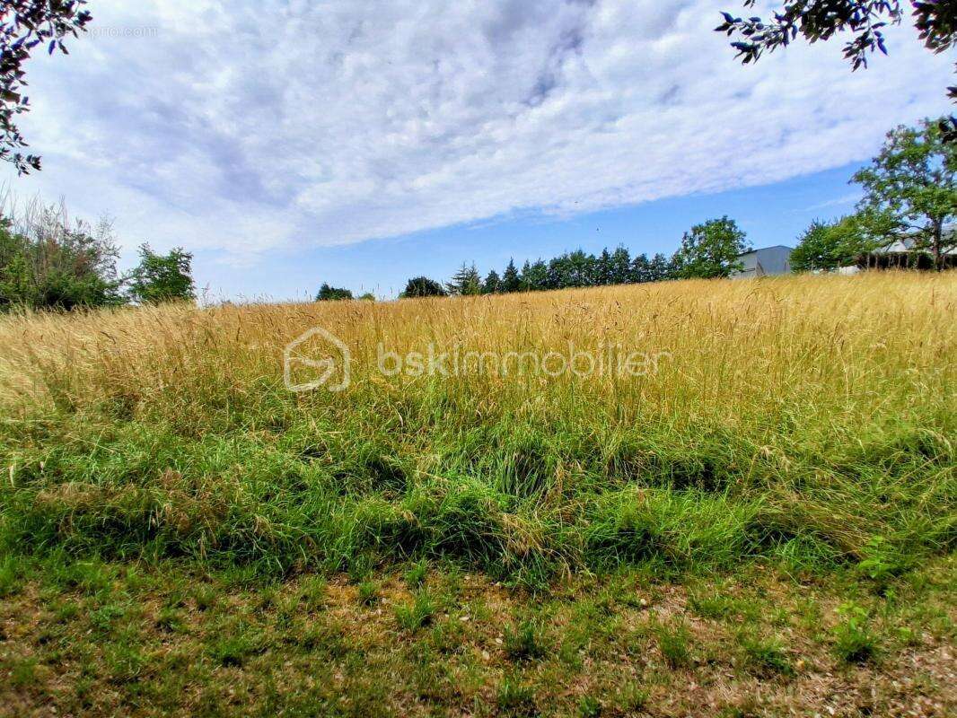 Exceptionnelle bastide du XVe siècle au cœur de la campagne tourangelle – Ancien logis seigneurial de l'Ardoise - photo 22