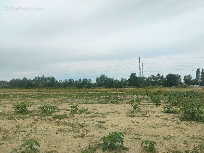 Terrain 5000 m² à Muret  - photo 22