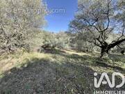 Photo 1 - Terrain à CALLIAN