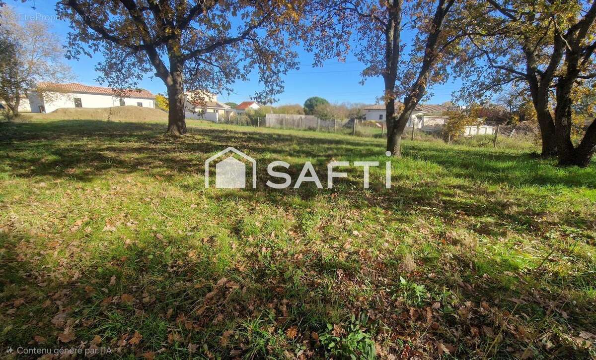 Photo 3 - Terrain à MURET