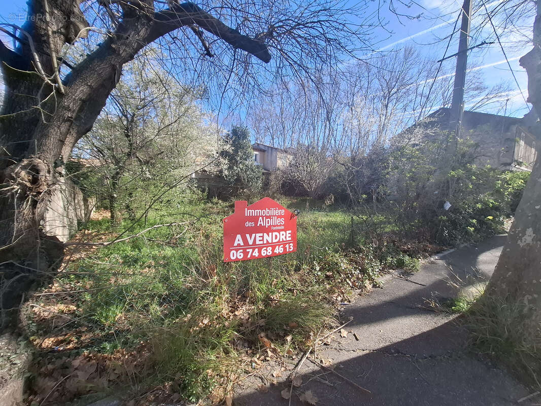 Terrain à SAINT-MARTIN-DE-CRAU