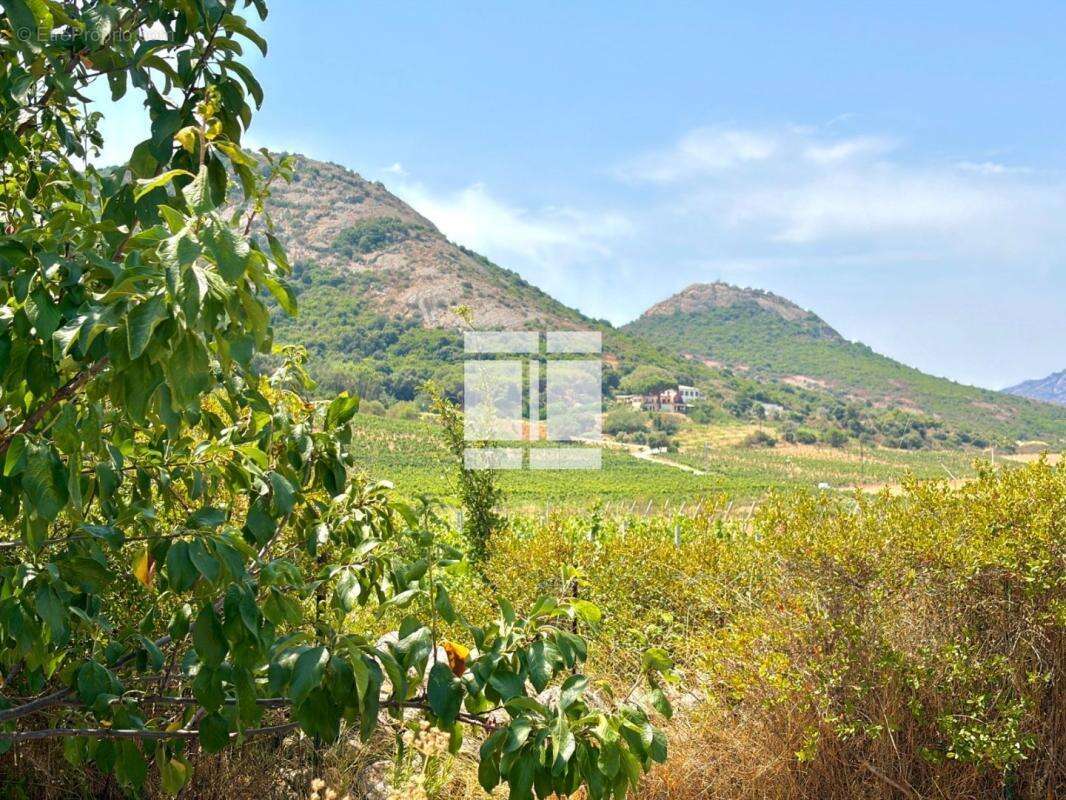 Maison de plain-pied avec vue exceptionnelle sur les domaines viticoles - photo 24