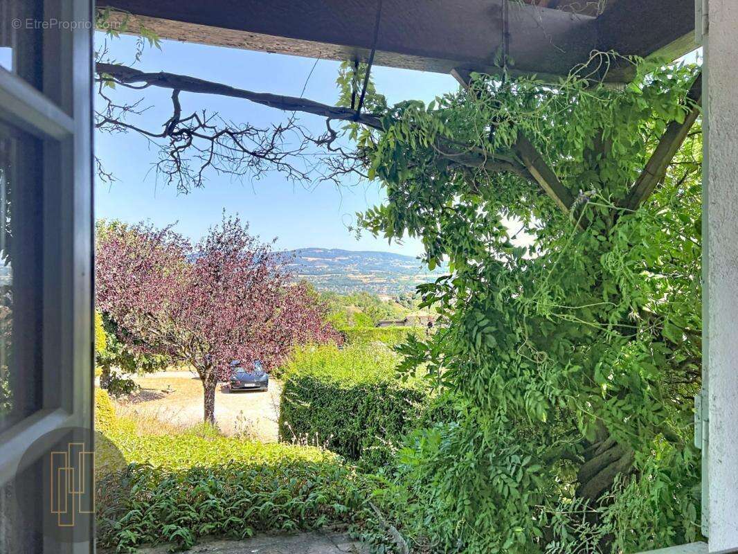 Exclusivité villa Saint Jean des Vignes terrain de 1900 m2 - photo 3