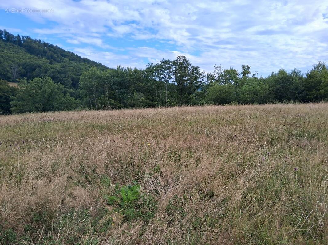 Terrain à HERICOURT