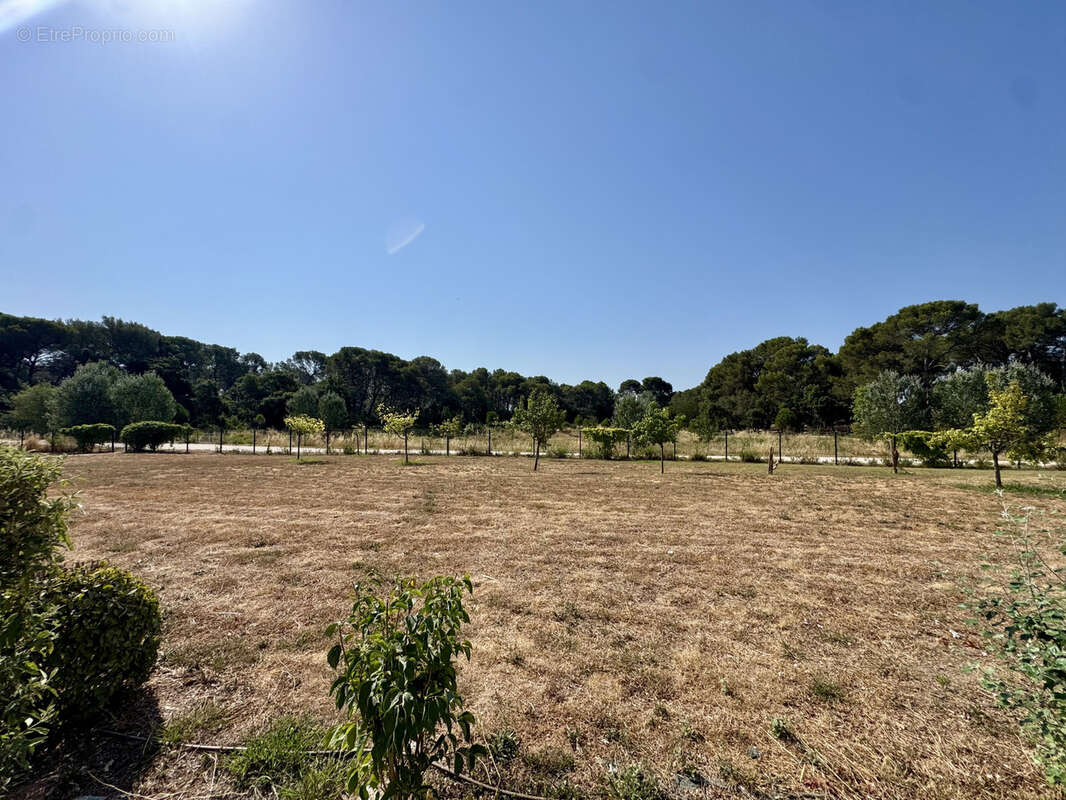 Appartement de type T2 en rez de chaussée au sein d'une résidence avec piscine à La Londe les Maures - photo 15