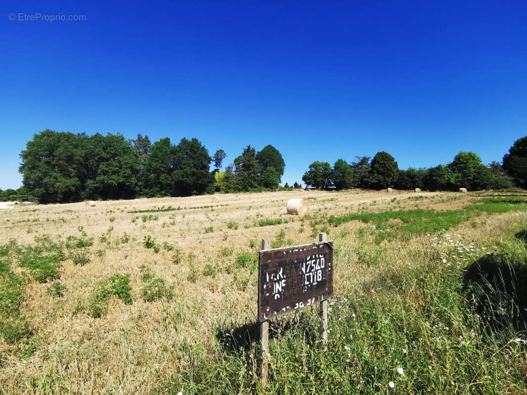IMG_20220803_105603 - Terrain à VARAIGNES