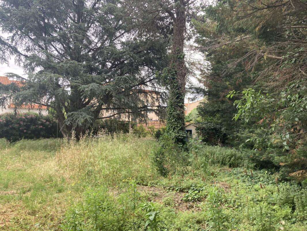 Terrain à PERPIGNAN