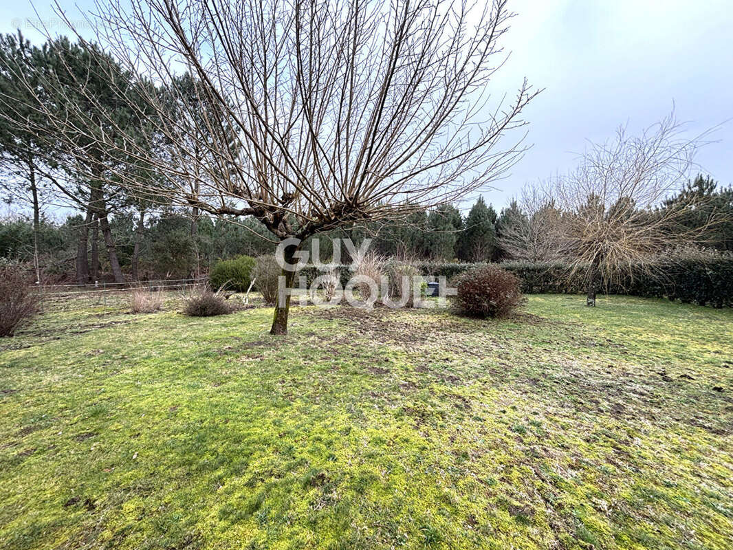 Maison à LIT-ET-MIXE