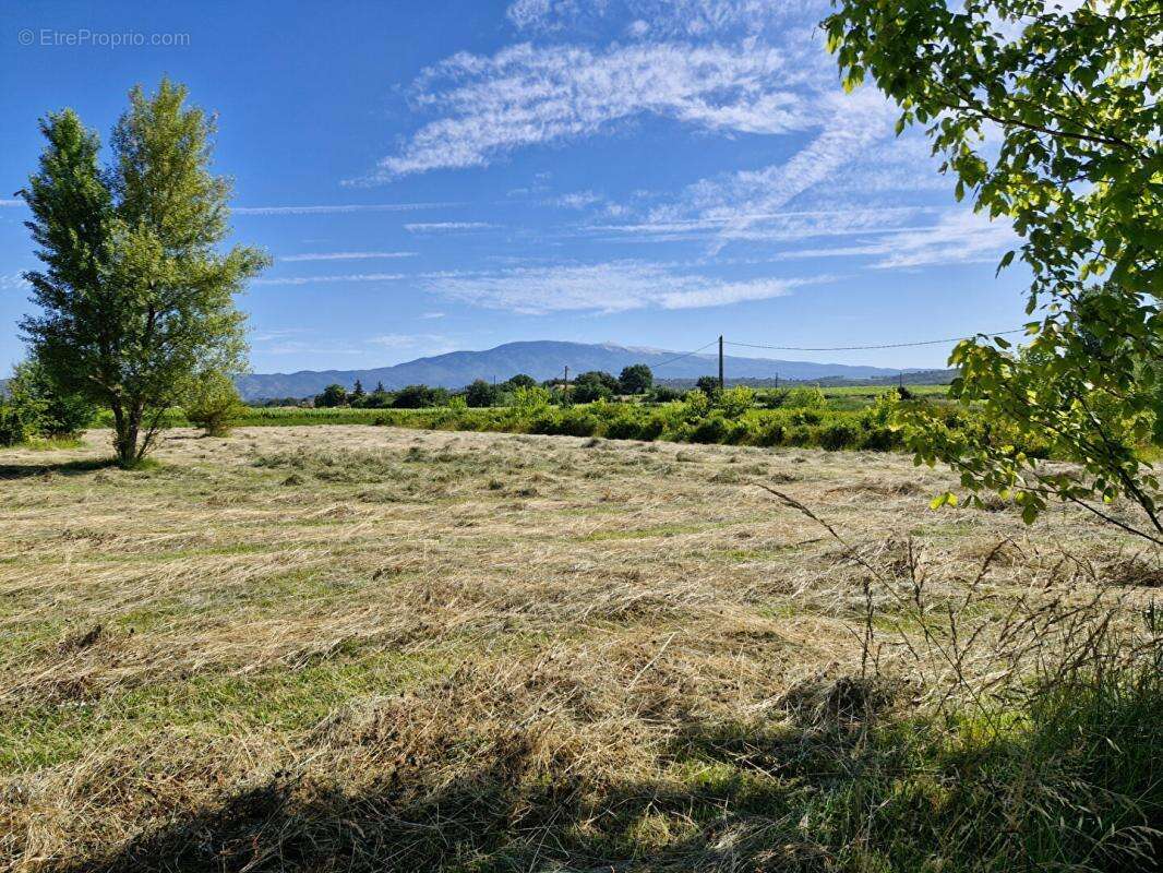 Grand mas avec dépendances en campagne au milieu des champs - photo 8