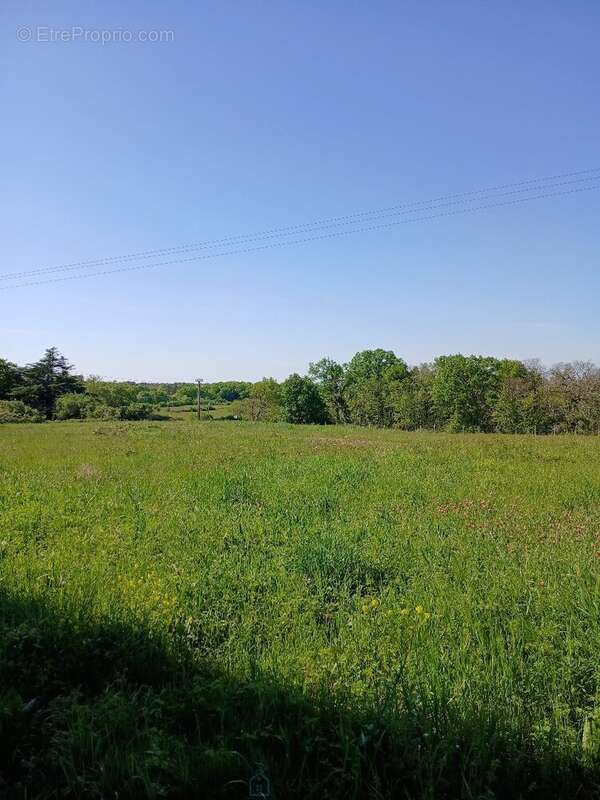 Terrain à SAINT-MARTIN-DE-RIBERAC