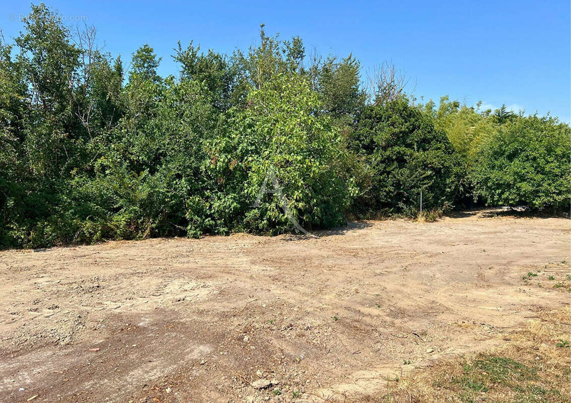Terrain Beauvoir Sur Mer 637 m2 - photo 2