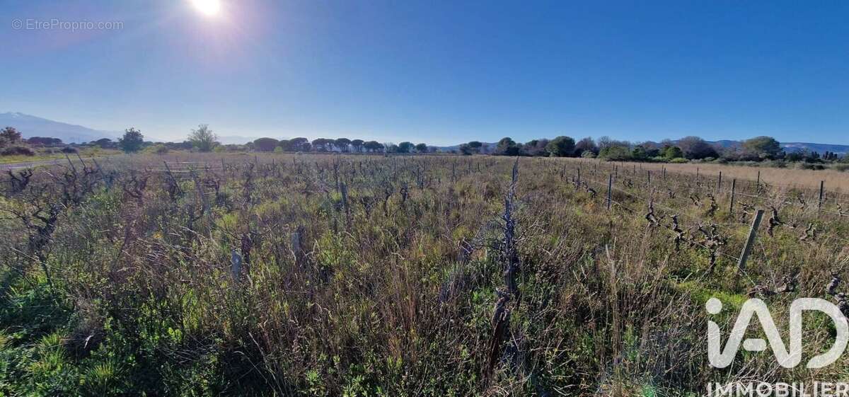 Photo 6 - Terrain à PEYRESTORTES