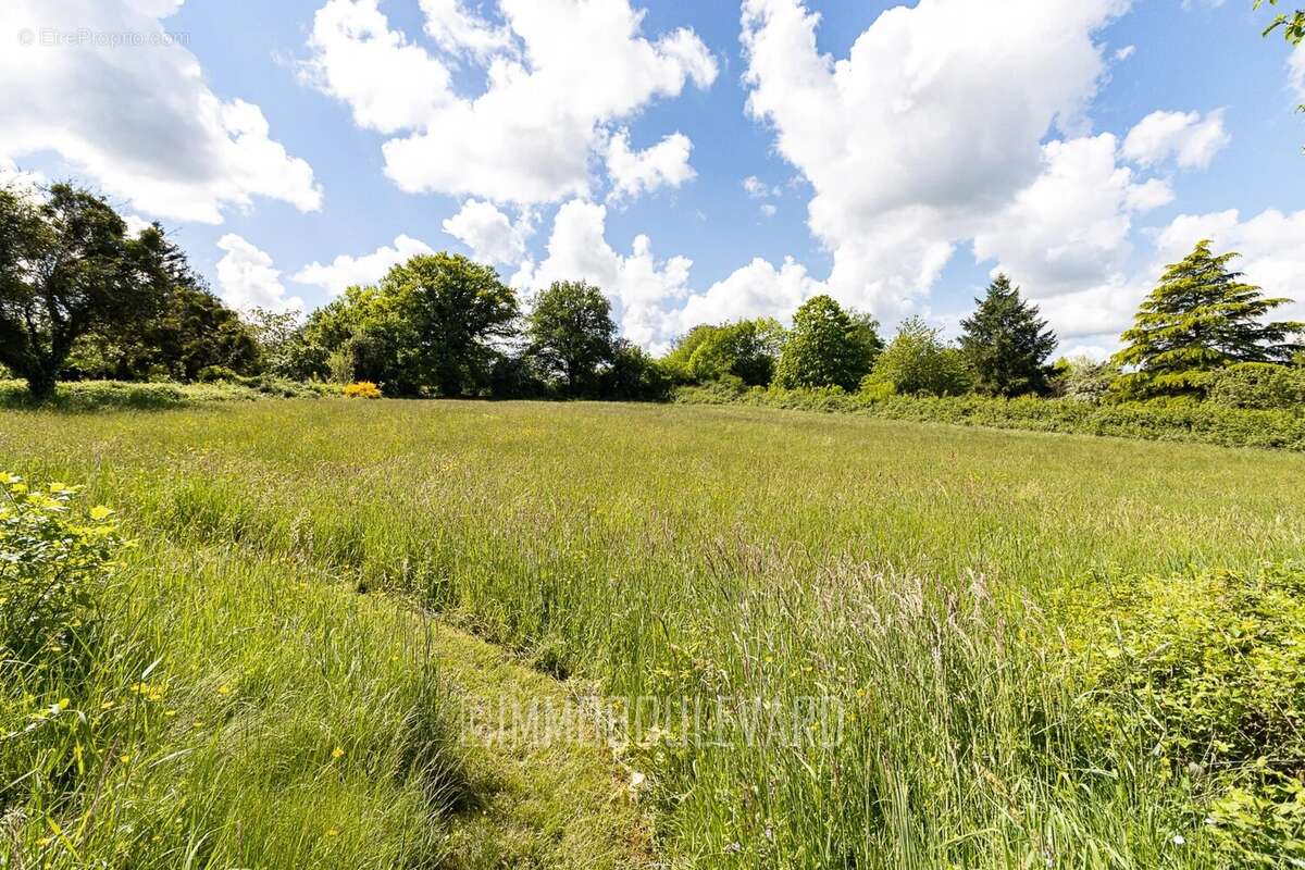 À vendre, Maison de charme à Boussac (23) vue château - photo 28