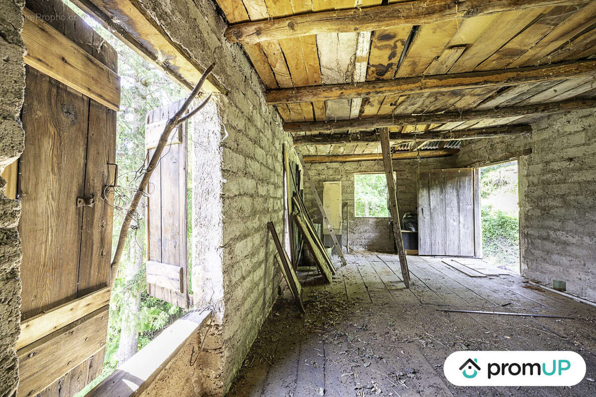 Terrain à BELVEDERE