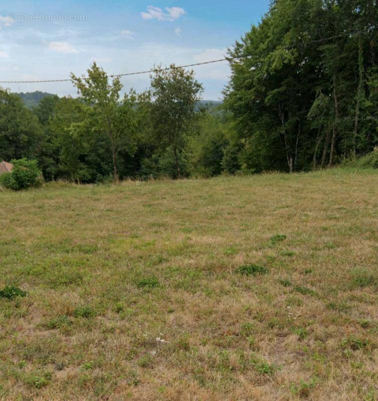 Terrain à SAINT-ANDRE-D'ALLAS