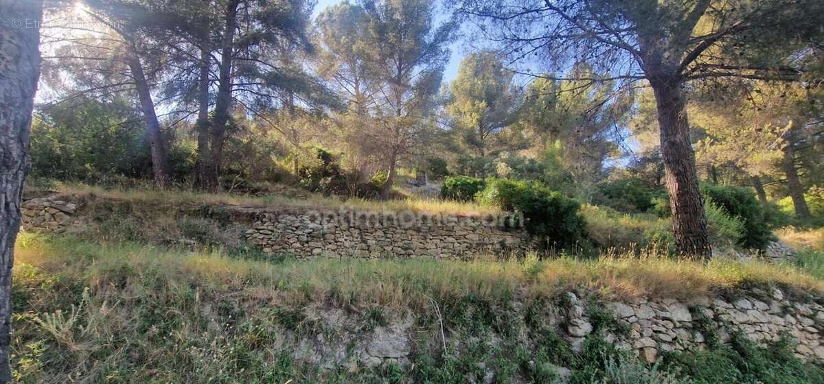 Grande villa T5 avec gite T2 en pleine nature! - photo 18