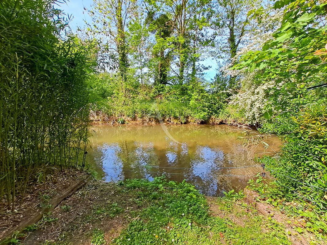 Maison de Caractère sur un Magnifique Terrain Arboré de plus de 4 000 m² - photo 18