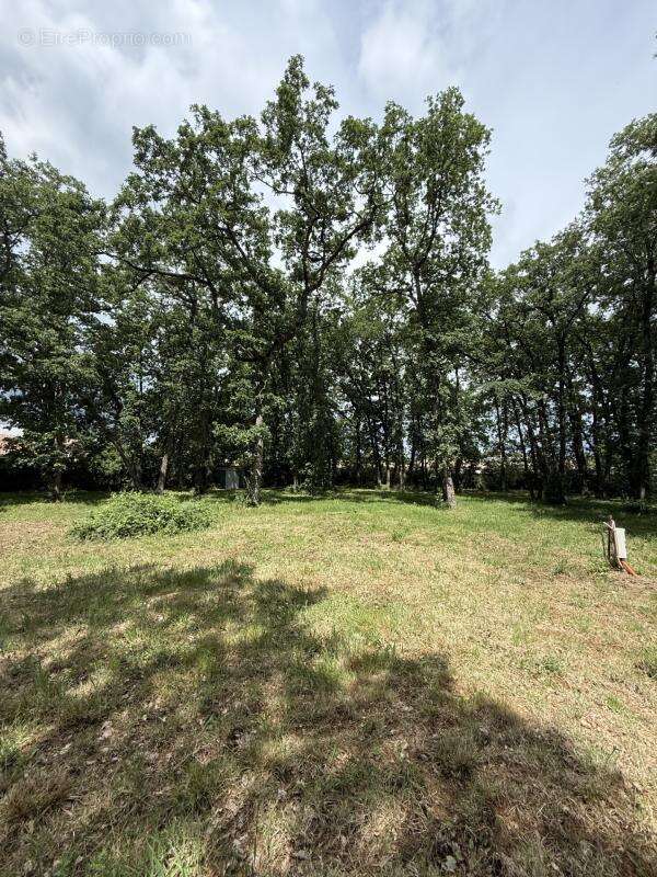 Terrain construction Leguevin 1900m2 - photo 2