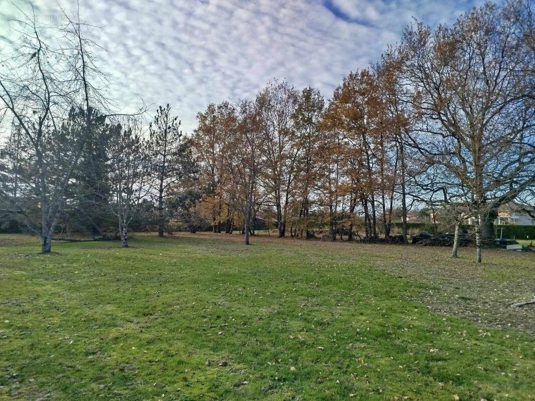 Terrain à SAINT-ETIENNE-DE-TULMONT