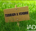 Photo 1 - Terrain à MAISSE