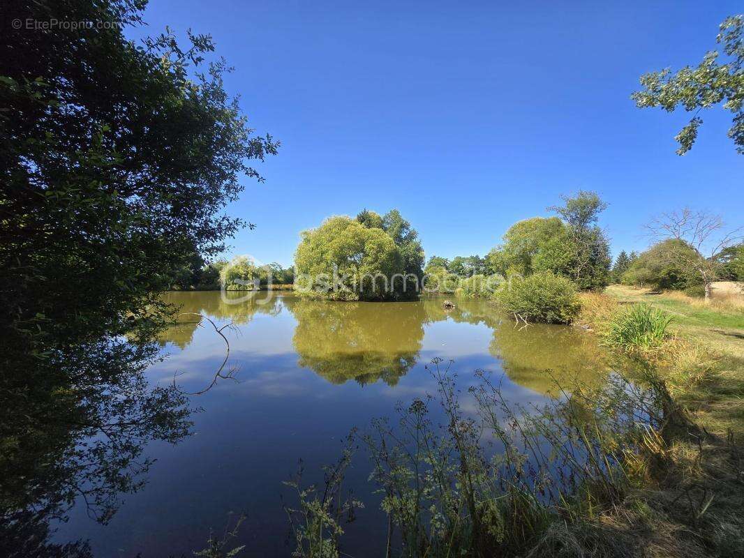 Axe Laval Mayenne Evron terrain 4,5 ha avec étangs - photo 3