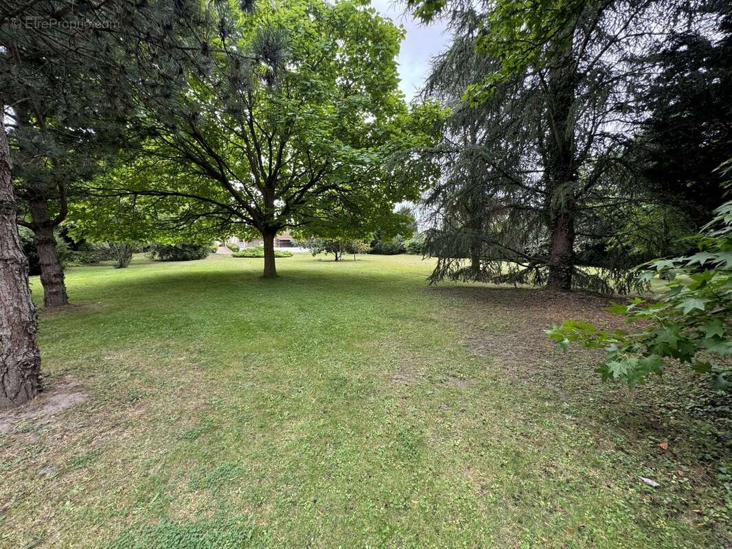 Terrain à BRIIS-SOUS-FORGES