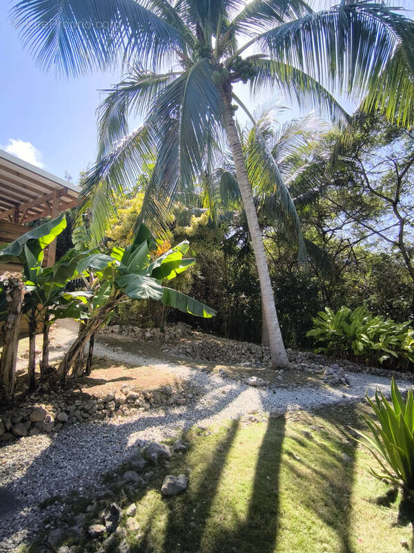 Maison à SAINTE-ANNE