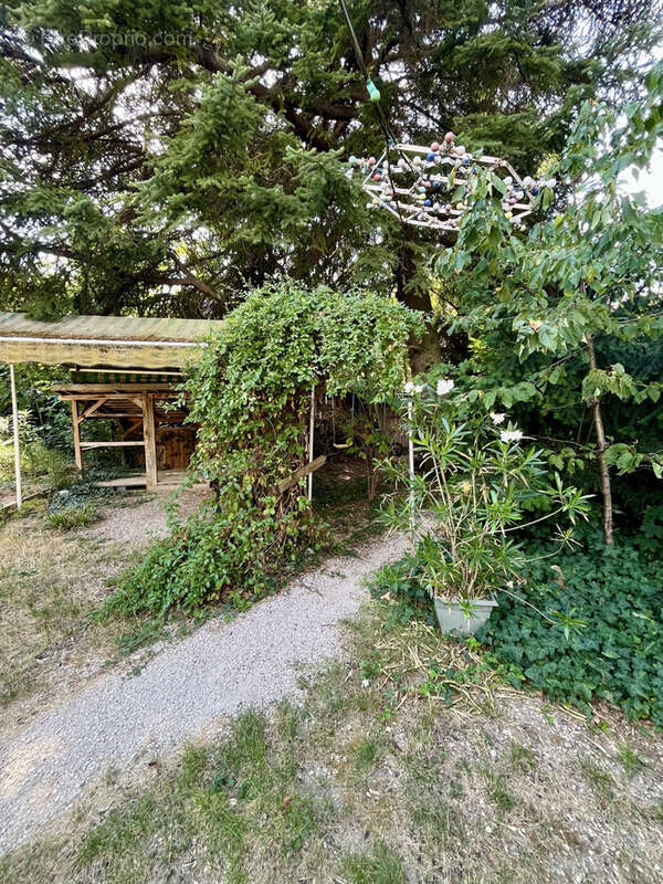 Crest centre ville - grande maison avec jardin arboré - photo 4