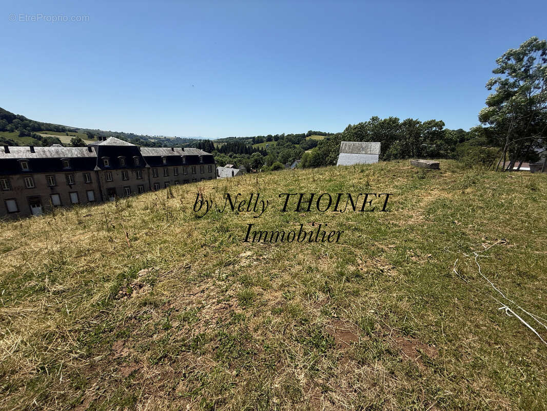Dépt.63, egliseneuve d'entraigues, terrain à bâtir de 2547 m2 - photo 3