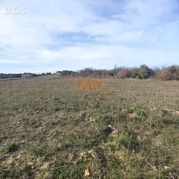 Terrain Agricole et de Loisir - Nature et grand espace - photo 6