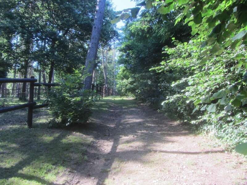 Domaine Equestre avec Gites 20min Châtellerault - photo 23
