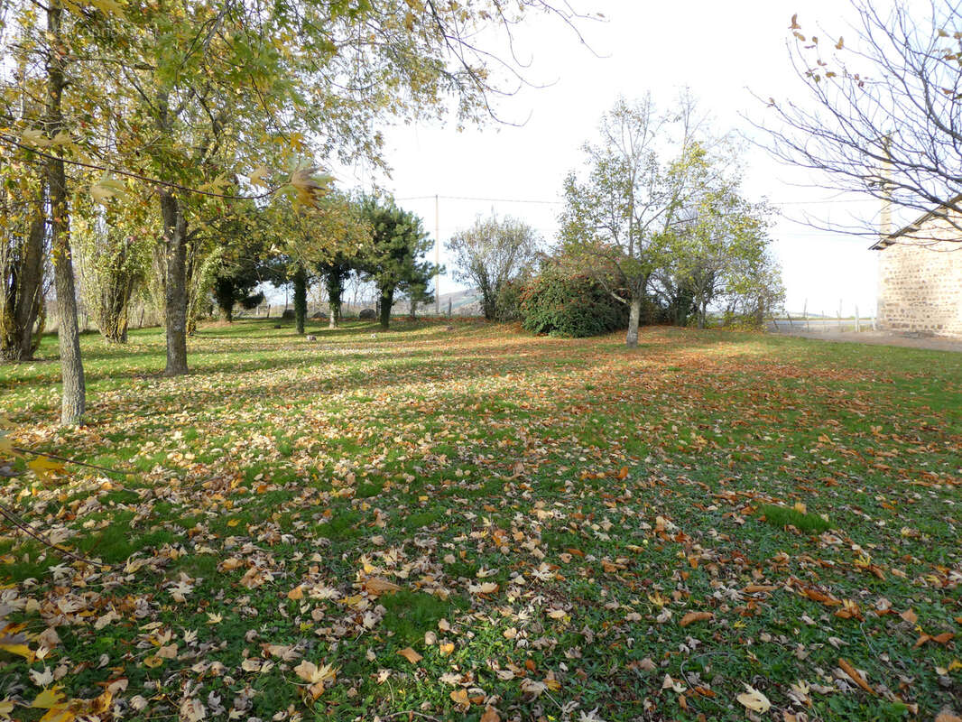 Maison à SAINT-LAURENT-DE-CHAMOUSSET