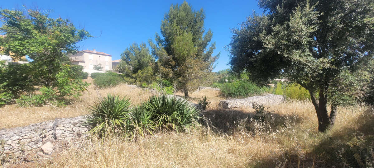 Maison à COURNONSEC