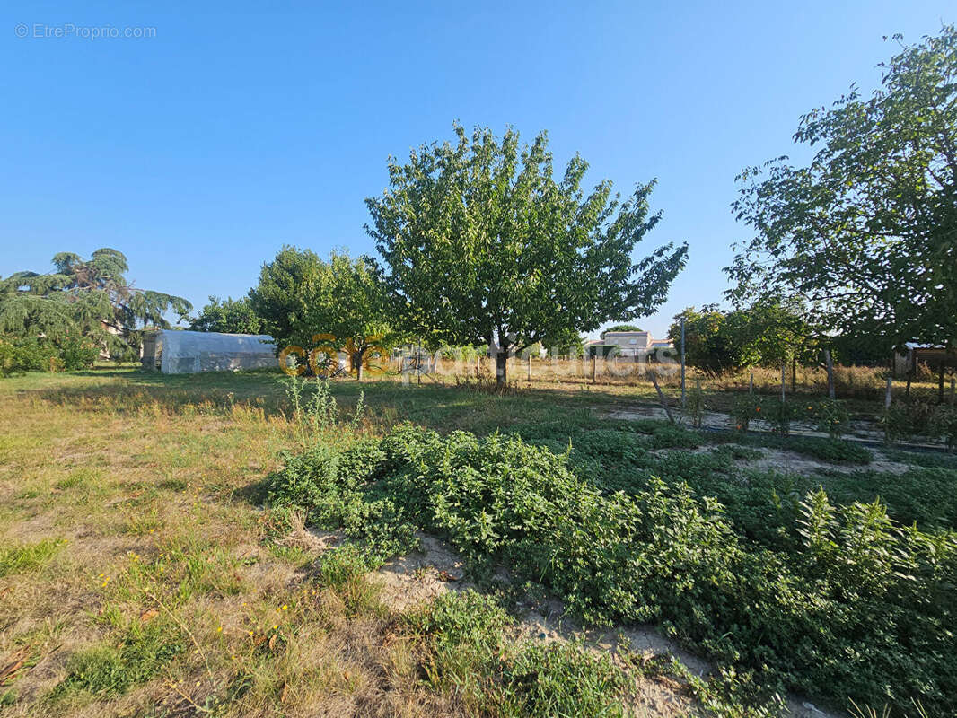 Maison  sur deux niveaux avec garages et jardin. - photo 16