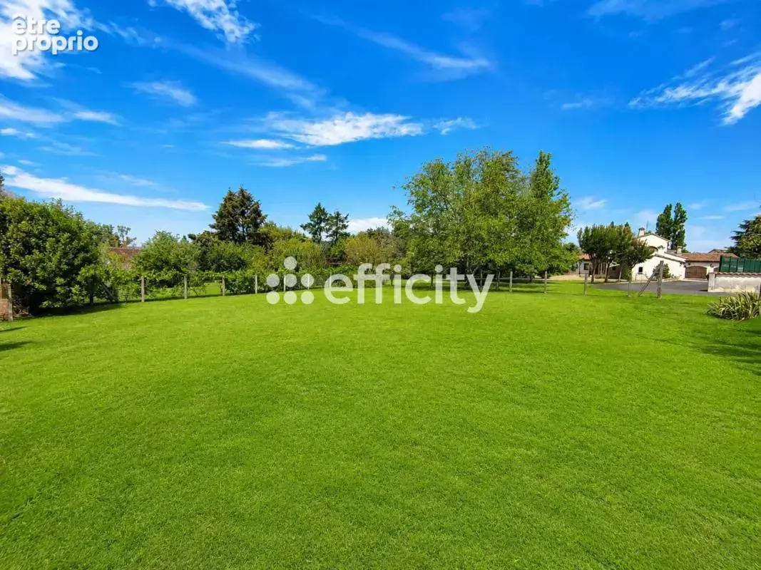 Maison 9 pièces 295 m² à vendre à Saint-Victor (03410) - photo 7