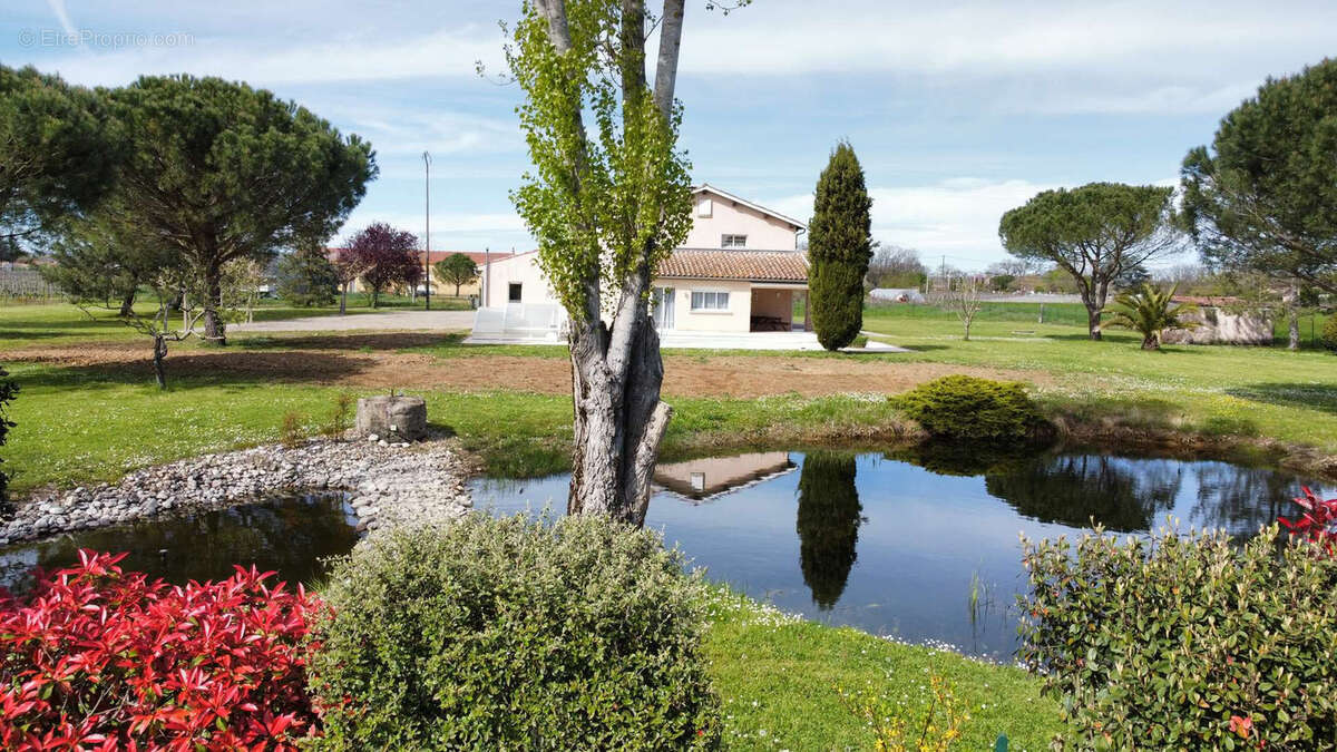 Maison familiale de 227 m2 avec piscine sur plus de 5 000 m2 de terrain   Entre Albi et Gaillac - photo 2