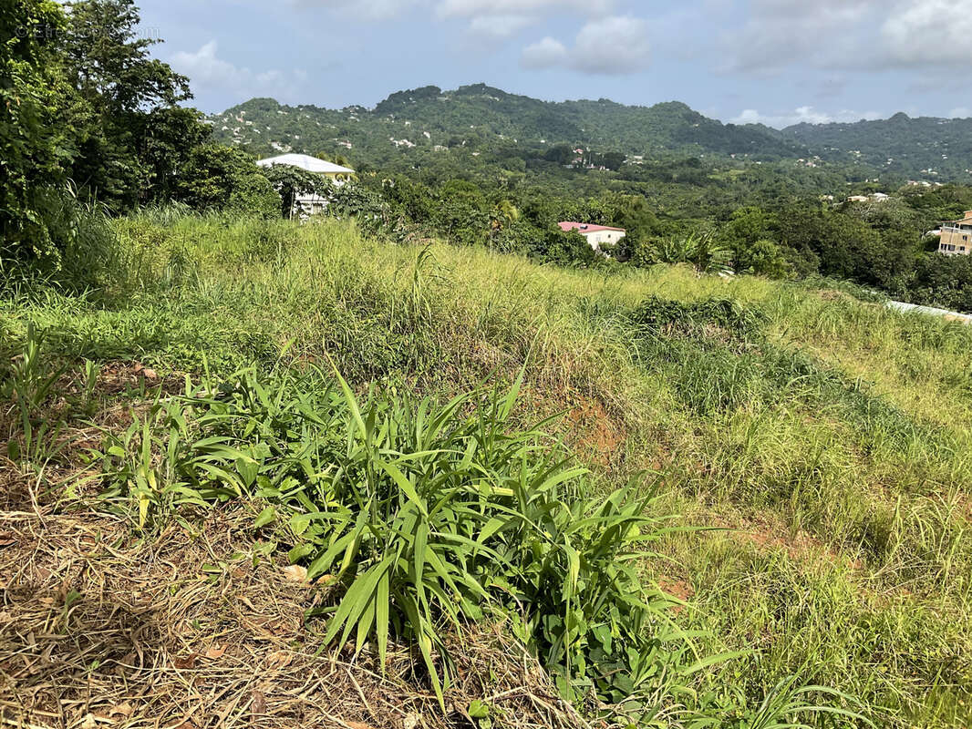 Terrain à LE ROBERT