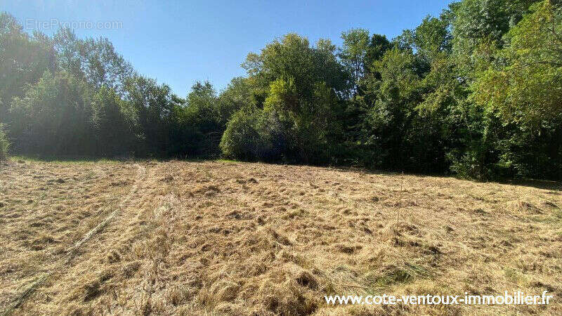 Terrain constructible viabilisé - 765 m² - photo 2