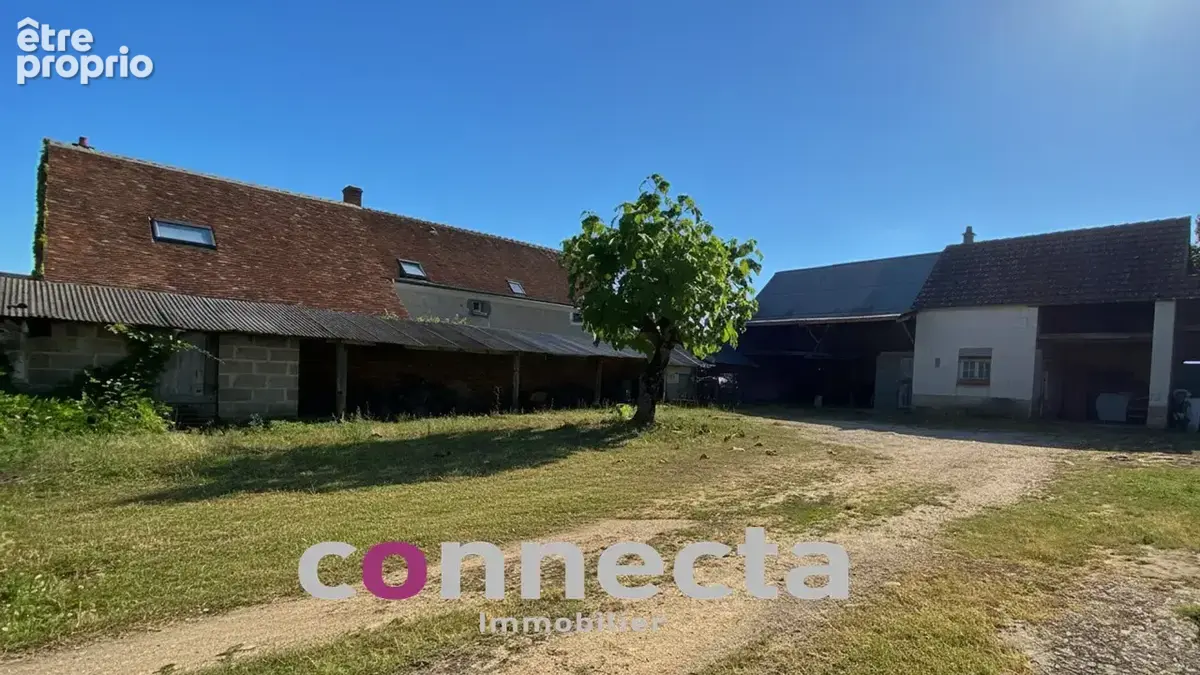 Ensemble immobilier composé de deux maisons - Dépendances - Terres à Faverolles sur cher - photo 2