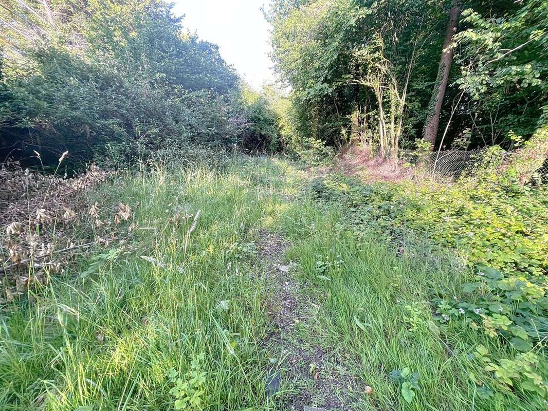 Terrain 2885 m² à Guignicourt-Sur-Vence  - photo 3