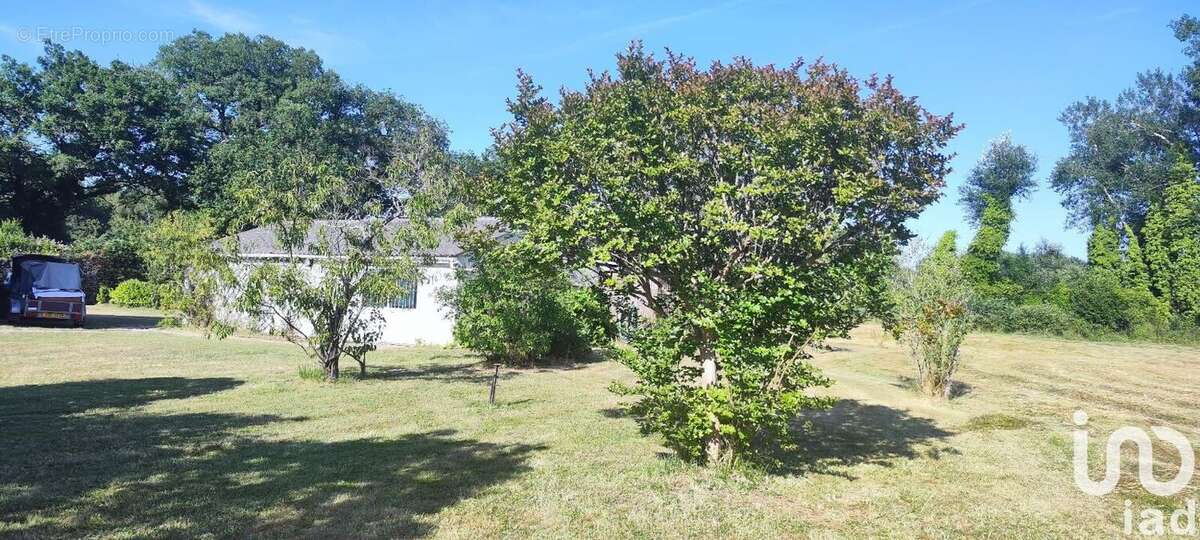 Photo 7 - Maison à VENDOEUVRES