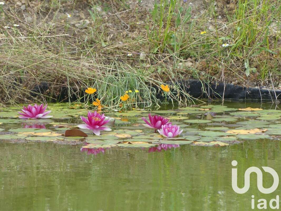 Photo 7 - Maison à ILLATS