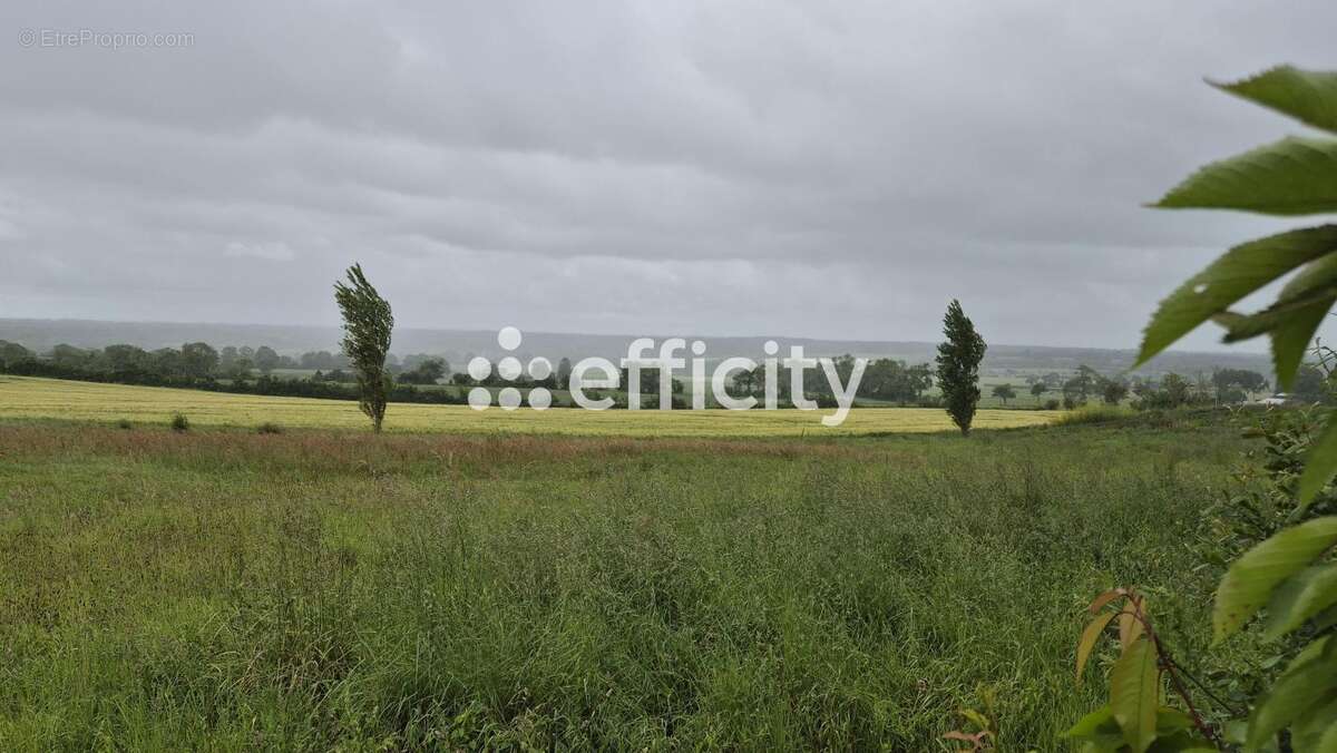 Terrain à SAINTE-HONORINE-DES-PERTES