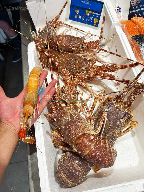 Rare opportunité   Fonds de commerce de poissonnerie historique au Grau-du-Roi - photo 2