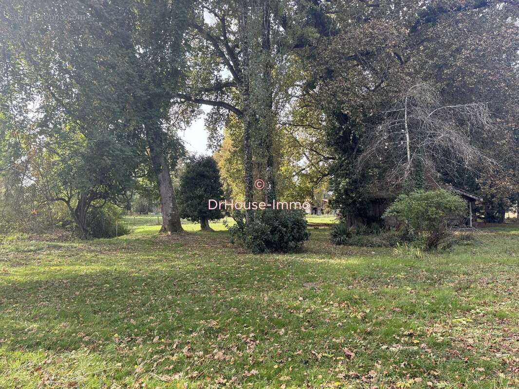 Maison à SAINT-MICHEL-DE-RIEUFRET