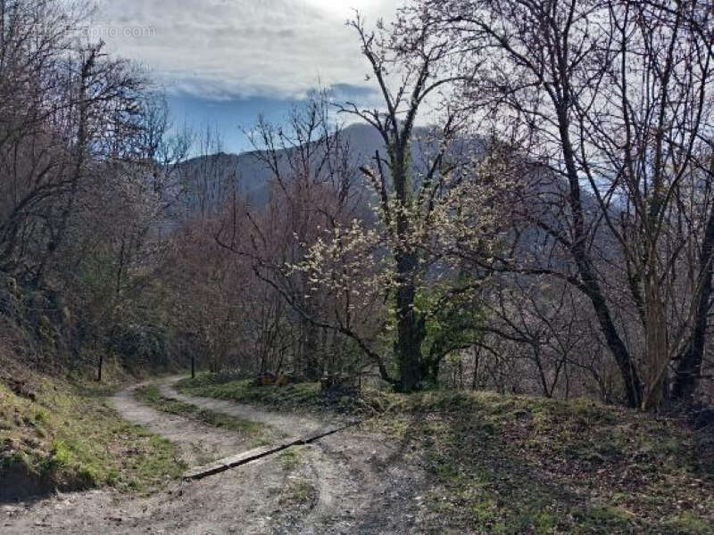 Terrain à CASTILLON-EN-COUSERANS