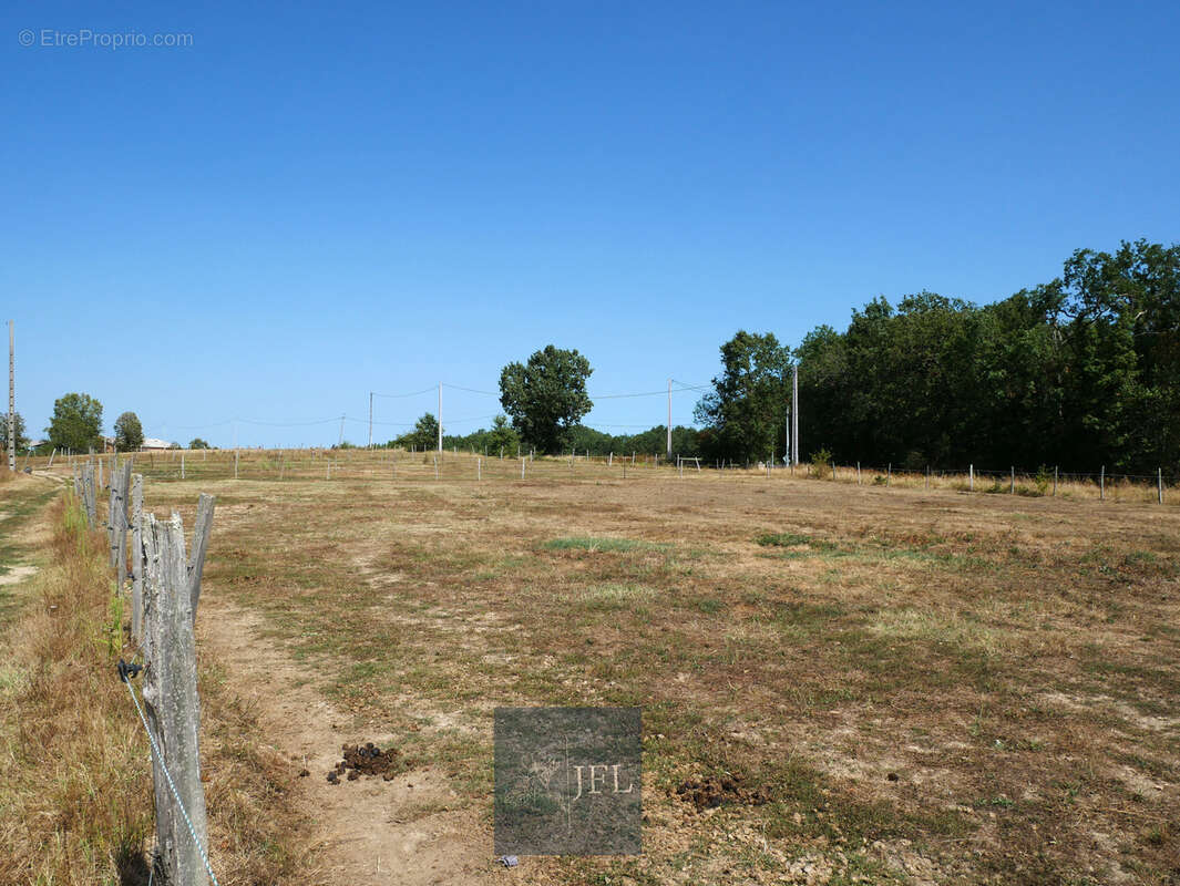 n°2 - Maison à MOISSAC