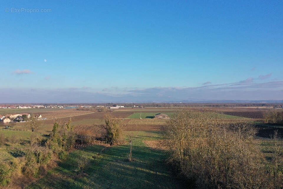 Appartement à ESCHENTZWILLER