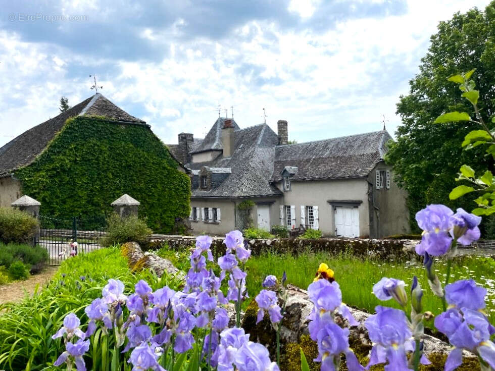 Manoir avec Corps de Ferme Chaudes Aigues - photo 2
