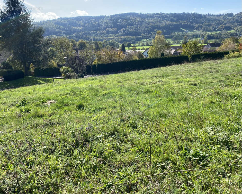 Terrain à RUPT-SUR-MOSELLE
